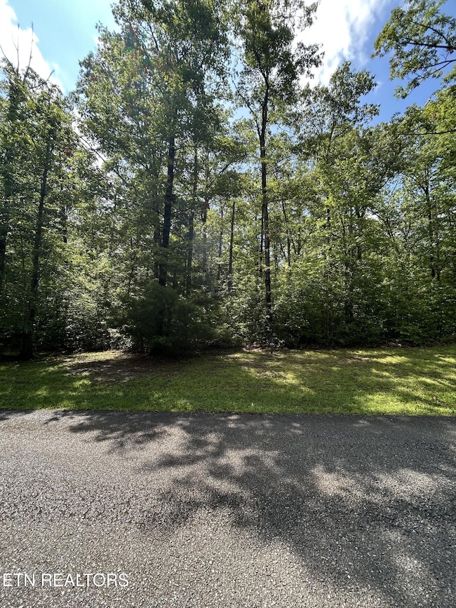 0 Bill Swain Dr unit 1305241, Oneida, TN 37841 - photo 4