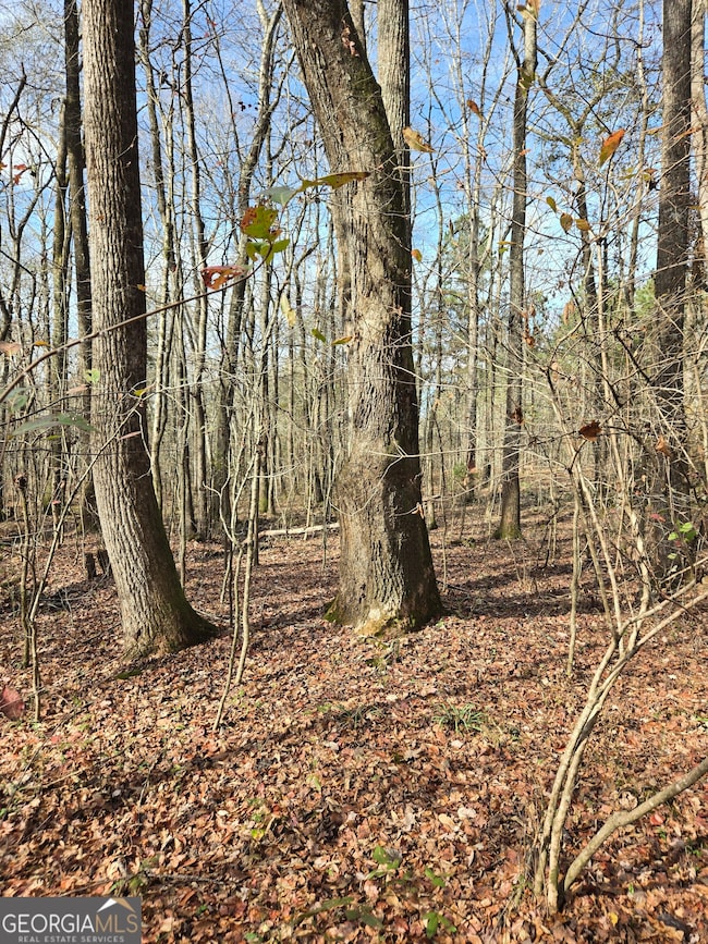 0 Yatesville Rd unit 10650403, Barnesville, GA 30204 - photo 6