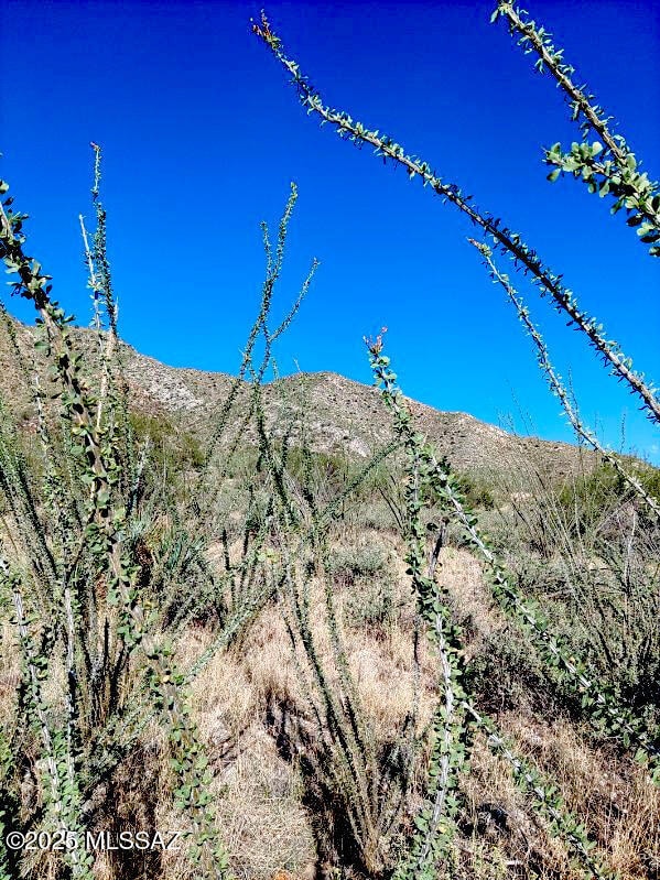 16231 E Hillton Ranch Rd, Vail, AZ 85641 - photo 7