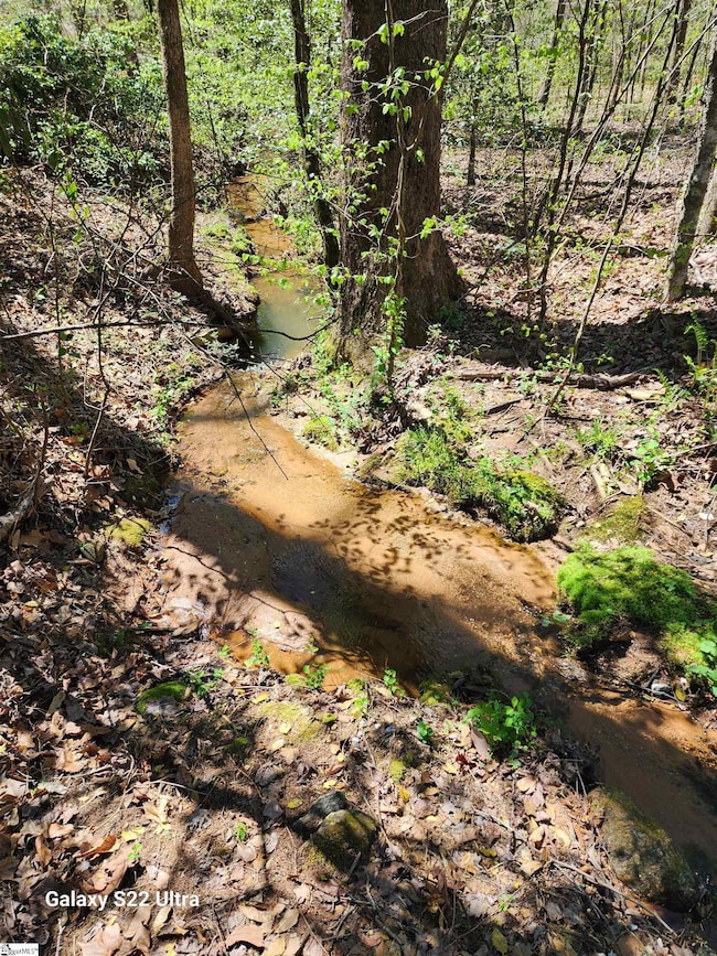 1208 Bradford Creek Ln, Taylors, SC 29687 - photo 7