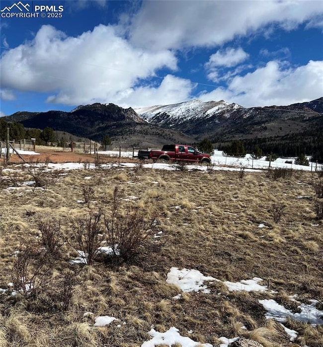 11893 Colorado 67, Divide, CO 80814 - photo 3