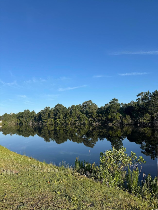 Water view featuring a heavily wooded area