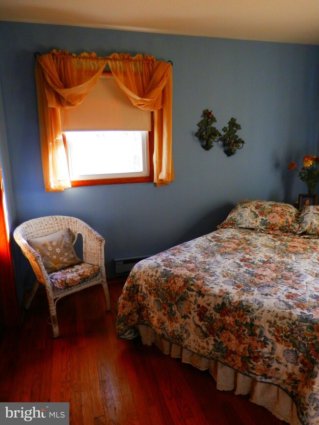 1541 Dellinger Gap Rd, Edinburg, VA 22824 - photo 7