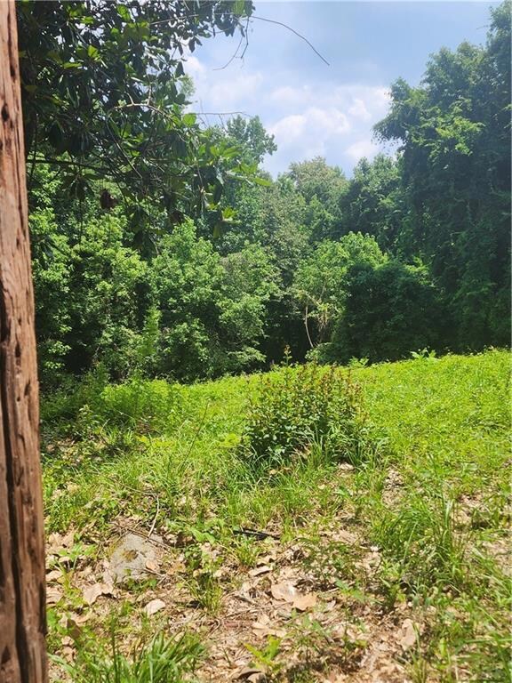 View of tree filled area