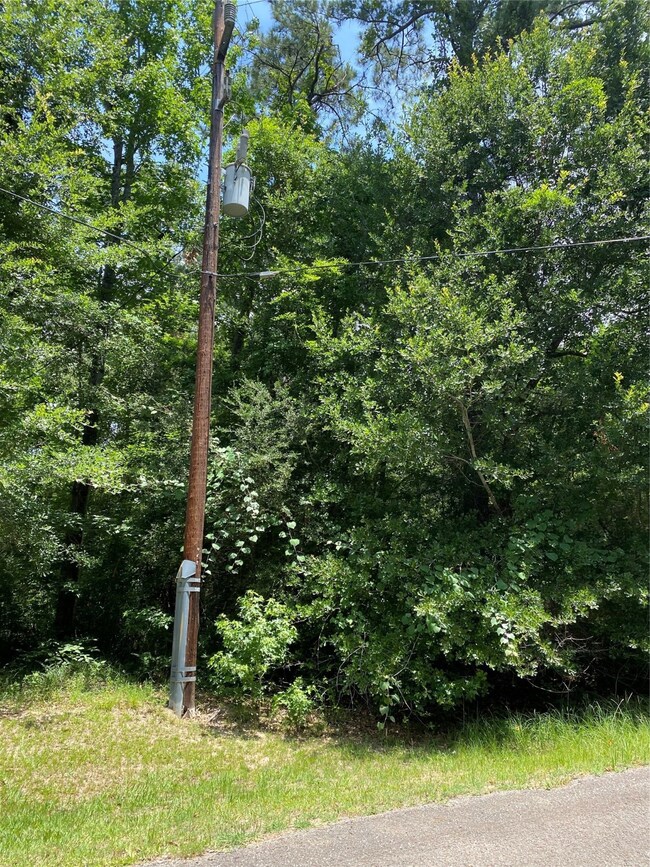 6503 Skylight Ln, Magnolia, TX 77354 - photo 4