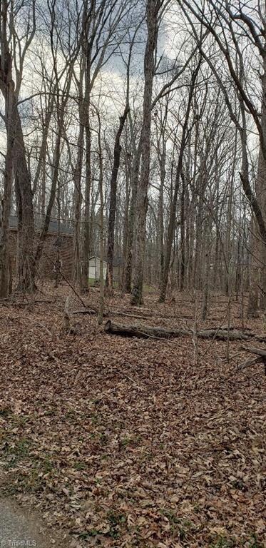 0 Cardinal St, Asheboro, NC 27205 - photo 2