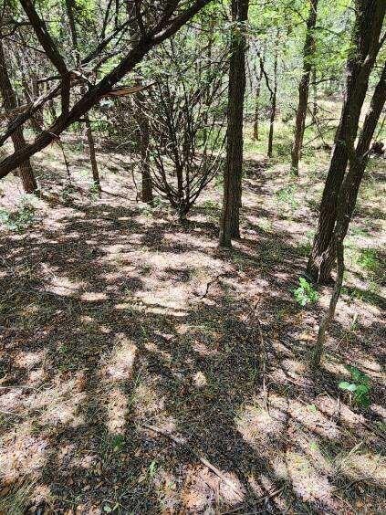 7098 Cedar Valley Dr, Whitney, TX 76692 - photo 4