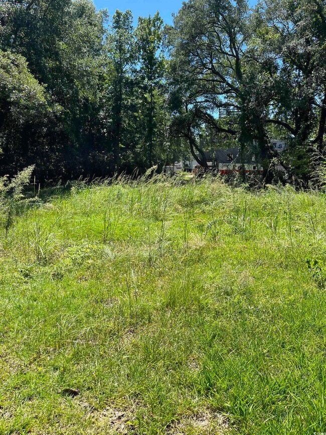 View of nature