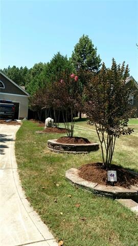 Stone bordered crape myrtles line the maintenance free concrete driveway.