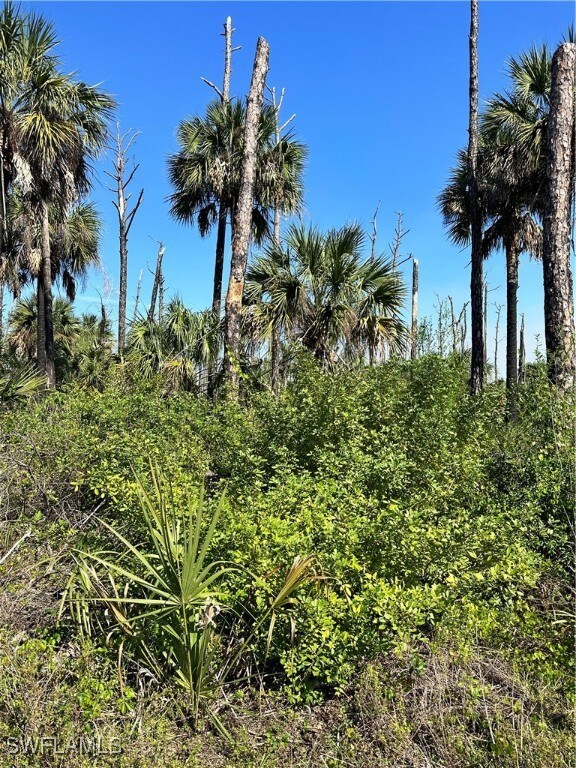 0 32nd Ave SE unit 225027576, Naples, FL 34117 - photo 3