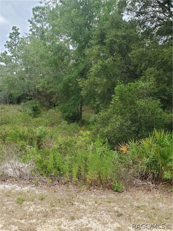 6958 W Merrivale Ln, Homosassa, FL 34446 - photo 2