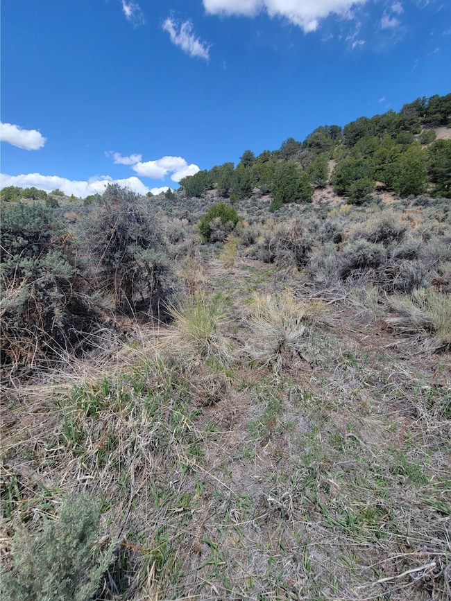 0 Michaels Rd unit 25677301, Fort Garland, CO 81133 - photo 4