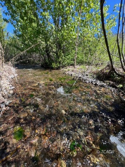 Creek