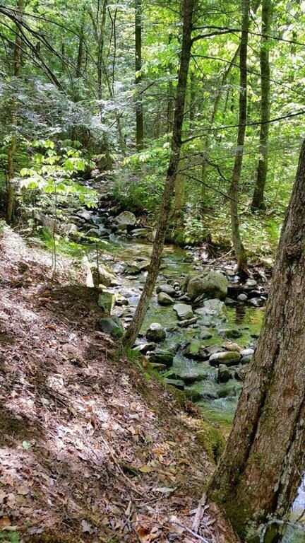 Another view looking up-stream.