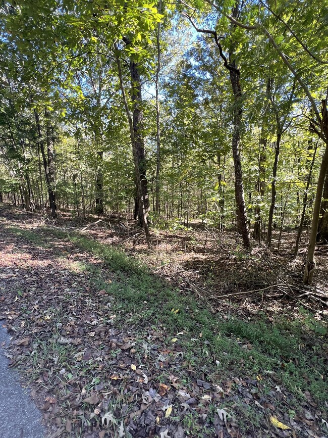 0 Tobaccoport Rd, Bumpus Mills, TN 37028 - photo 5