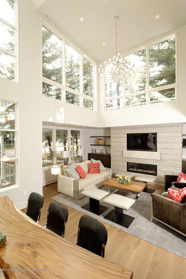 730 W Bleeker St unit 1, Aspen, CO 81611 - photo 3