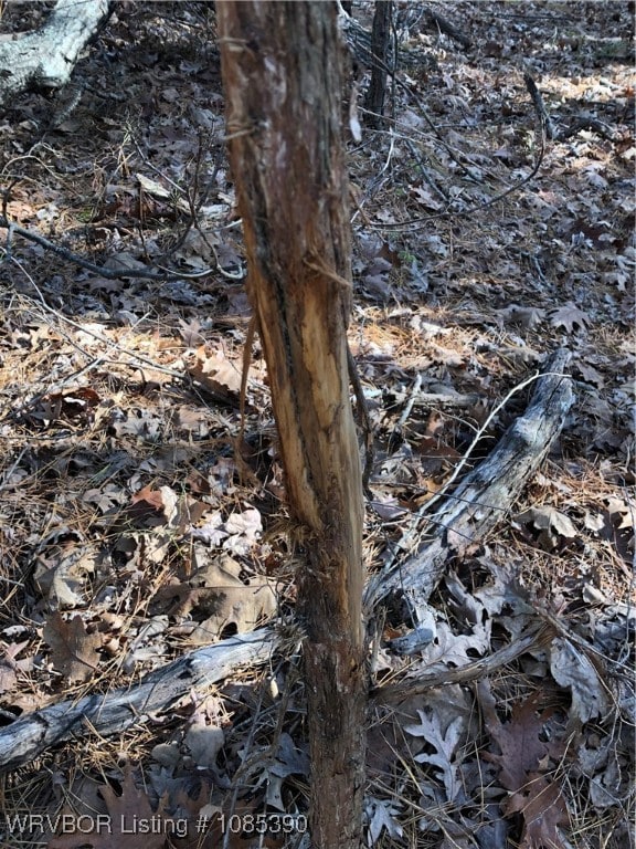 TBD Station Rd, Bokoshe, OK 74930 - photo 7