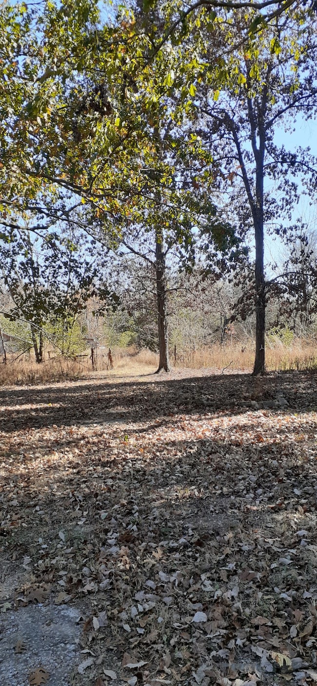 503 Whitaker Rd, Shelbyville, TN 37160 - photo 2