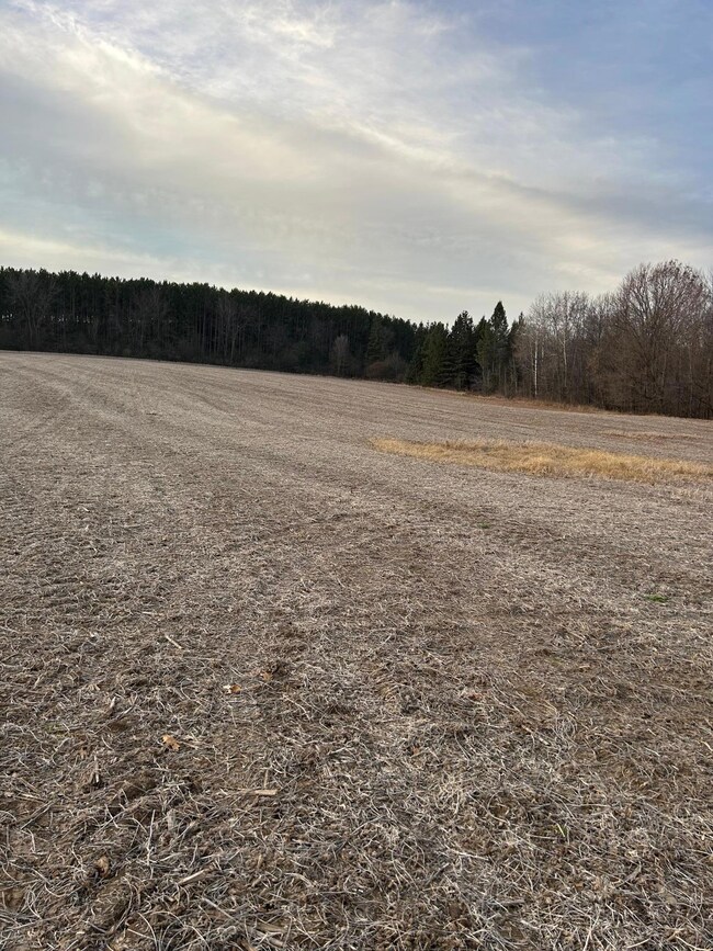 Lot 1 Pierce County Road B, Woodville, WI 54028 - photo 2