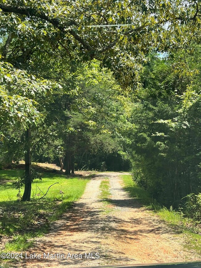 0 Manoy Dr, Jacksons' Gap, AL 36861 - photo 5