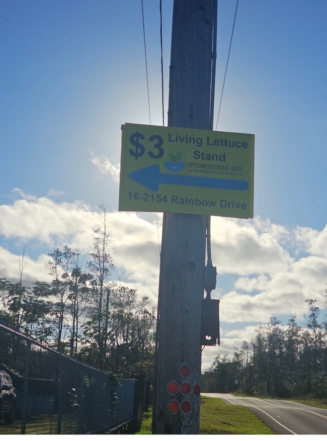 16-2056 Rainbow Dr, Ainaloa, HI 96778 - photo 6