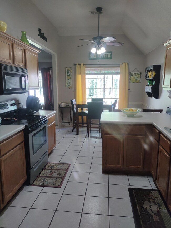 Kitchen with ceiling fan, stainless steel electric