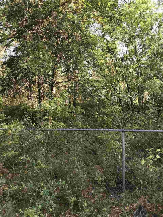 61 Russell Dr, Crawfordville, FL 32327 - photo 2