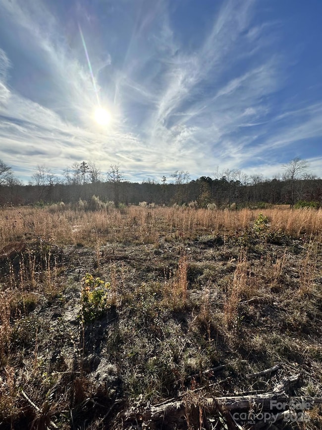 2211 Bottom Dr, Chester, SC 29706 - photo 2