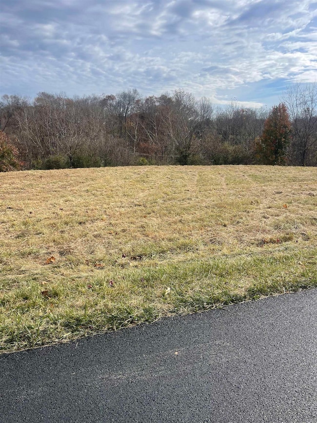 0 Lakepoint Dr, Grayson, KY 41143 - photo 2