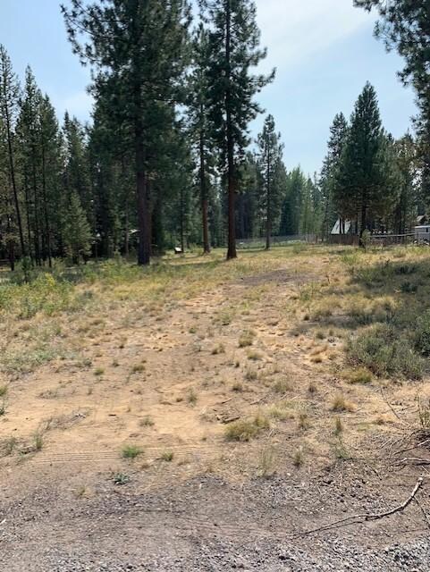 17269 Jacinto Rd, Bend, OR 97707 - photo 5