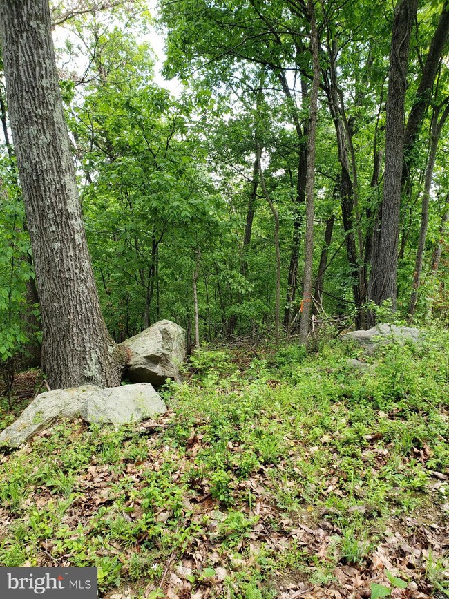 0 Lot 378 Kits Ct unit VAWR2003128, Front Royal, VA 22630 - photo 4