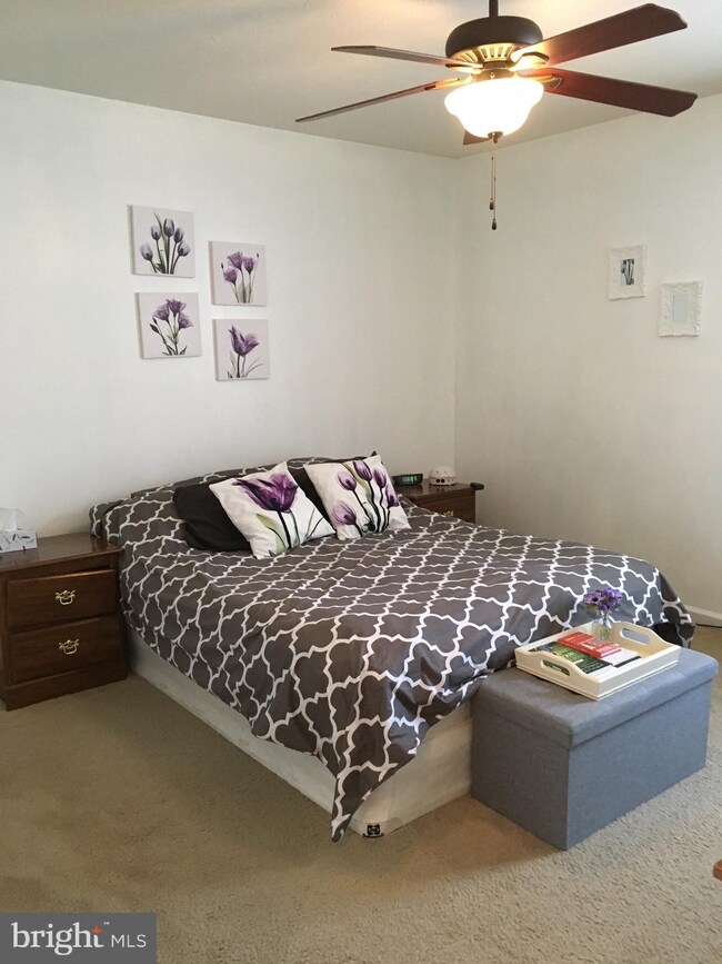 233 Aden Dr, Strasburg, VA 22657 - photo 3