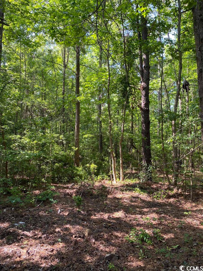 TBD Silver Moon Ct unit 1.22+/- Acres, Conway, SC 29526 - photo 2