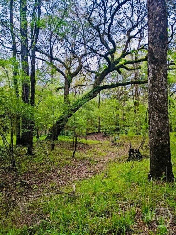 00 Charles Spikes Rd, Reidsville, GA 30436 - photo 3