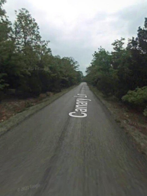 1102 Canary Ln, Horseshoe Bend, AR 72512 - photo 6