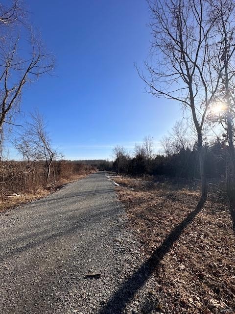 13 Weatherby Ln, Farmington, MO 63640 - photo 4