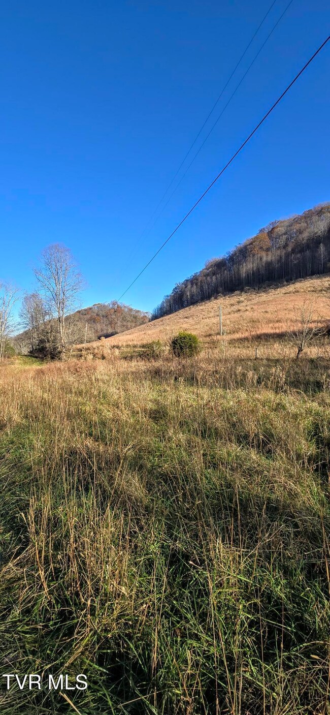 2351 Line Rd, Eidson, TN 37731 - photo 6