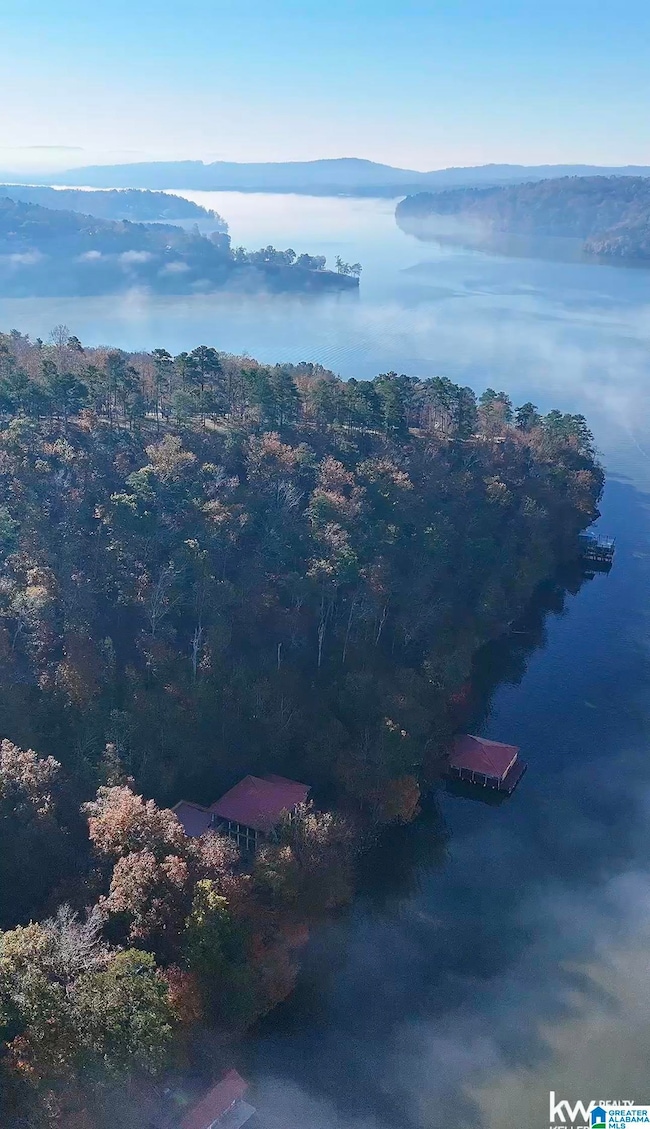 0 Mohawk Bluff Dr unit 21437021, Ohatchee, AL 36271 - photo 2