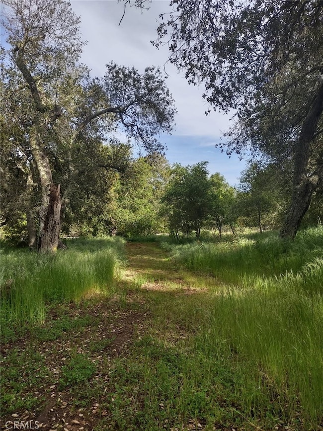 0 Avenida Perla Bonita unit SW25258371, Murrieta, CA 92562 - photo 4