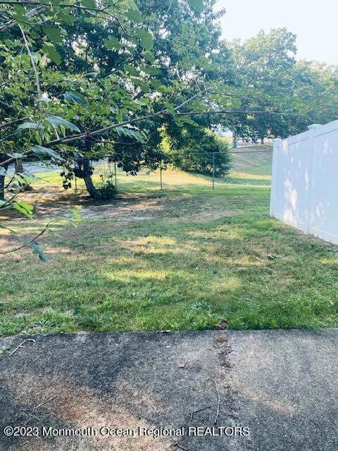 Back Patio