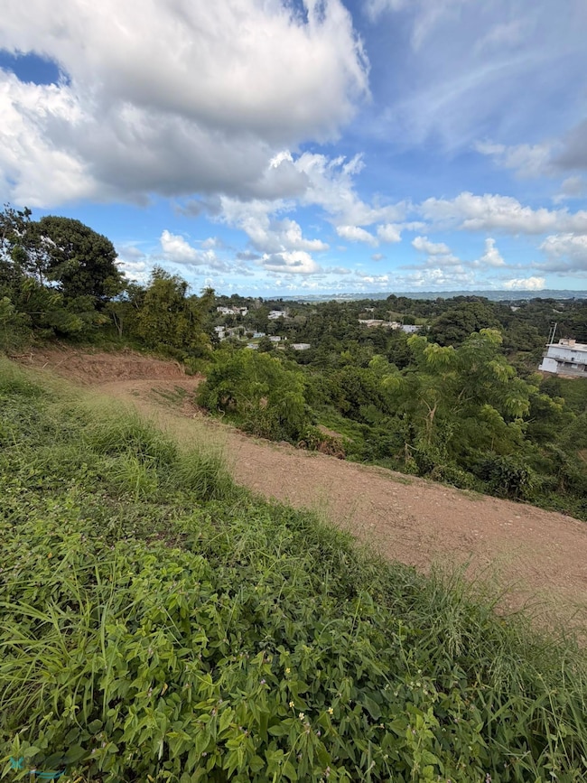 KM 4.2 Bo Carrizal unit Solar 1, Aguada, PR 00602 - photo 7