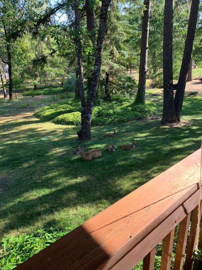 417 Opal Ln, Grants Pass, OR 97526 - photo 4