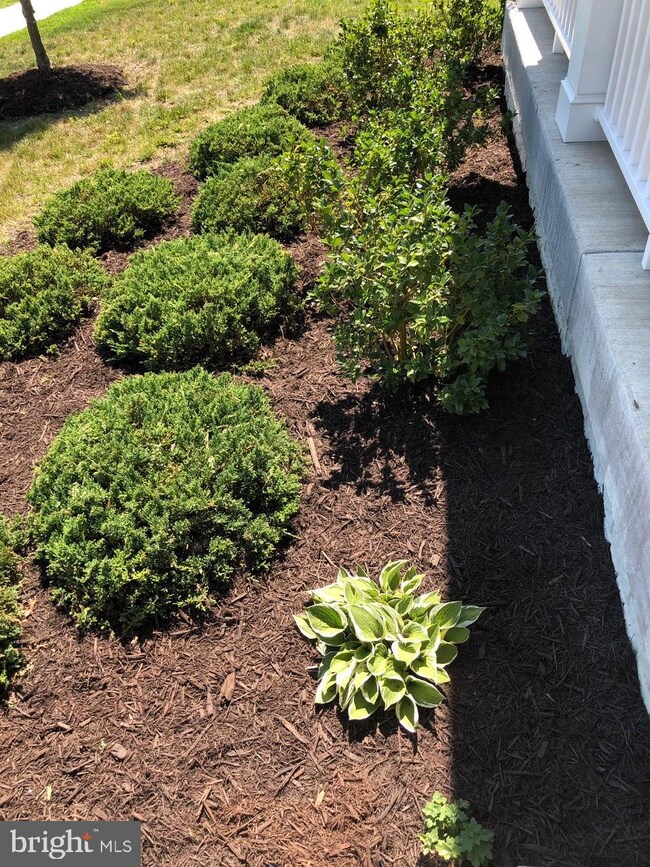 43674 Yulan St, California, MD 20619 - photo 3