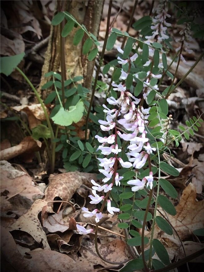 0 Cr 558 unit 1137841, Colcord, OK 74338 - photo 7