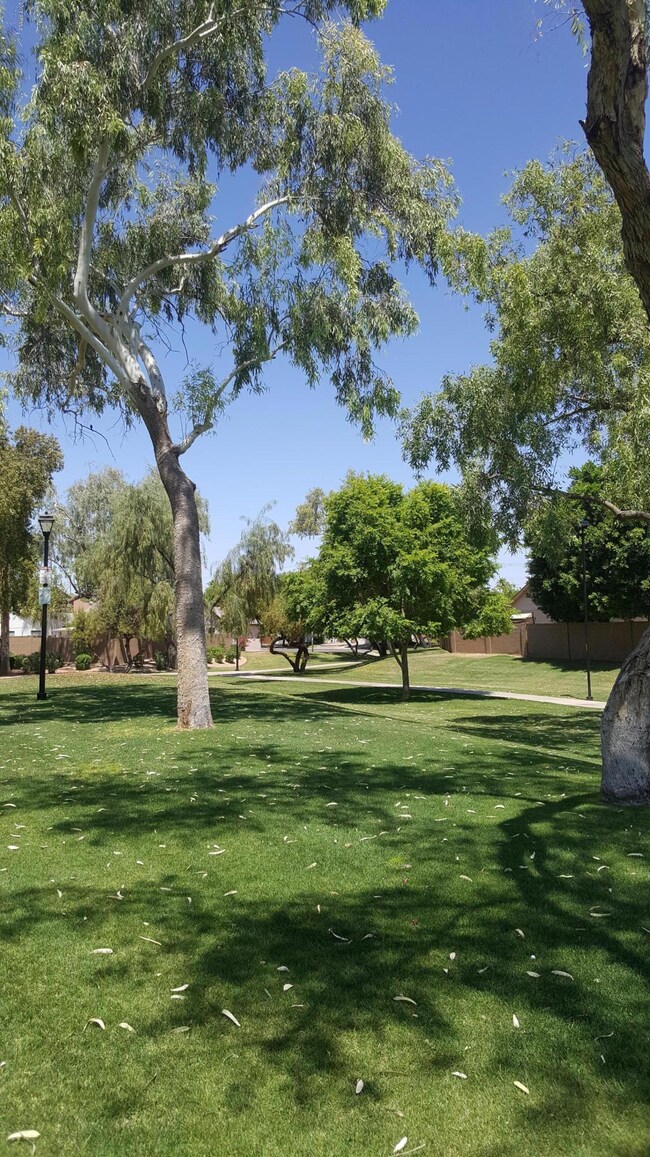 PARK3