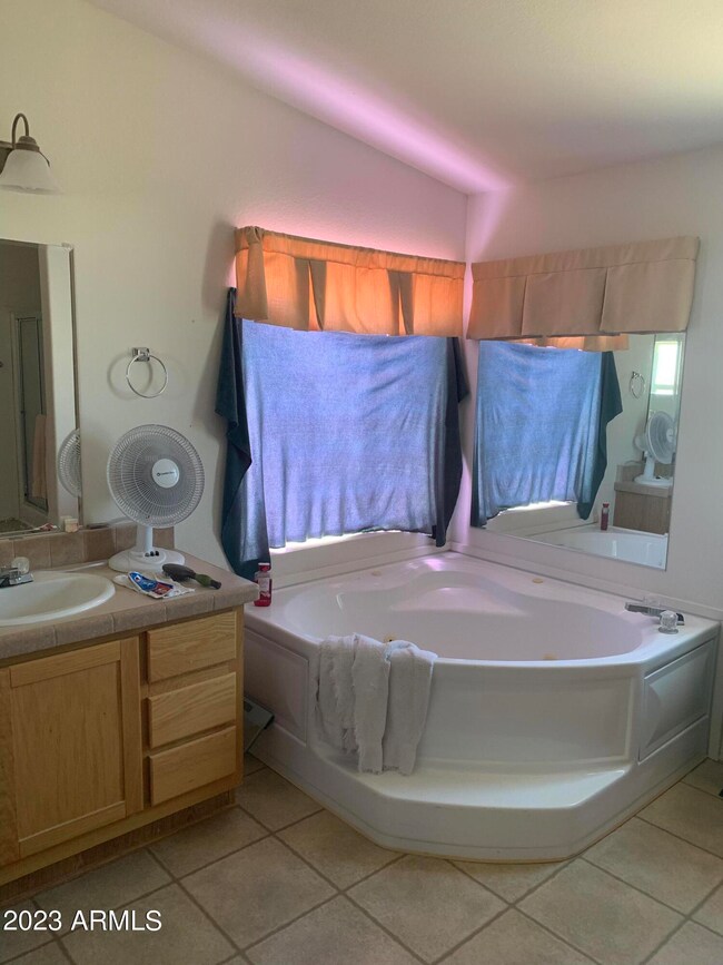 Master Bath: Jetted tub & dual vanities