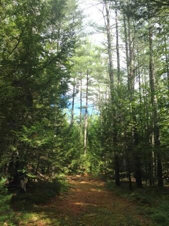 0 Tolman Rd, Harrison, ME 04040 - photo 2