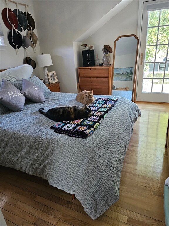 19 Hilliard St unit 6-03, Cambridge, MA 02138 - photo 7