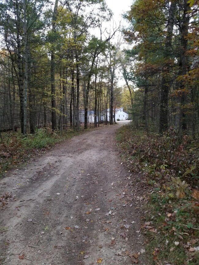 Driveway #2