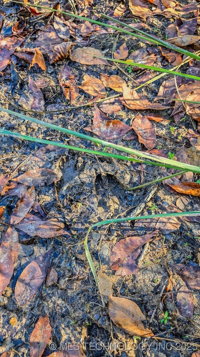 0 S 4270 Rd, Checotah, OK 74426 - photo 3